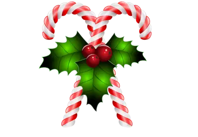 Vector striped red and white christmas candy cane close up top view isolated png