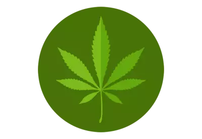 Botanical cannabis leaves collection transparent background isolate 