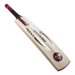 Cricket bat transparent background