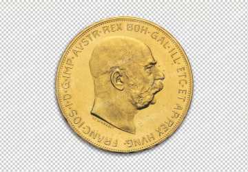 Austrian Gold 100 Corona Coin