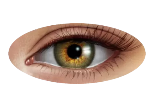 Vertical closeup shot of an elderly human's light blue eye PNG