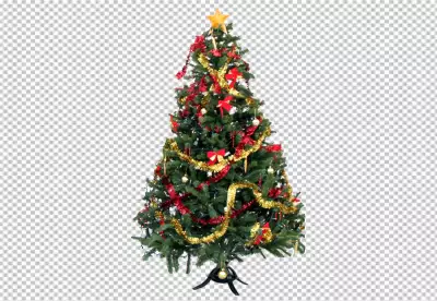 Festive evergreen delight sparkling yuletide symbol PNG