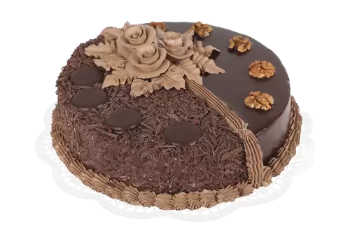 Close-up view of chocolate cake concept transparent background