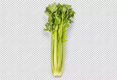 A bunch of celery that is laying on a table transparent background 