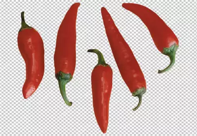 Jalapeno isolated on transparent background PNG