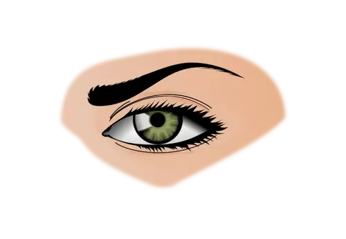 Bright eye makeup and eyebrow shaping