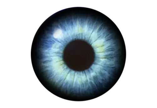 Realistic human eyeball isolated PNG