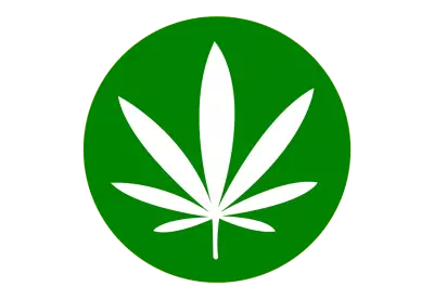 Botanical cannabis leaves logo png