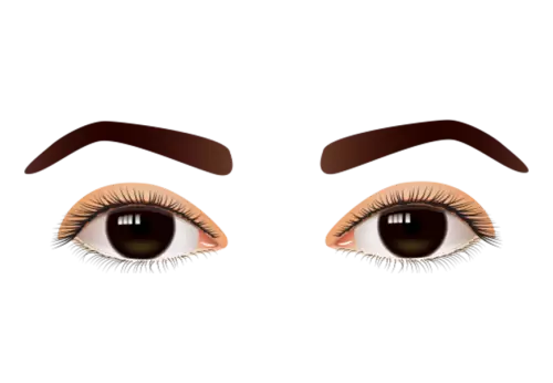 human close up eyes photo PNG
