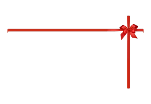 Bow for Large Presents