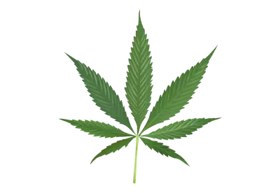 Cannabis png