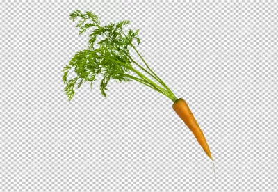 Fresh carrot vegetable with leaves isolated on transparent  background cutout