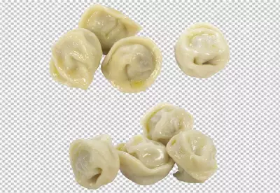 Delicious meat dumplings closeup