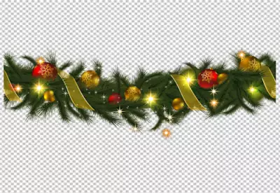 Cute christmas flowers PNG