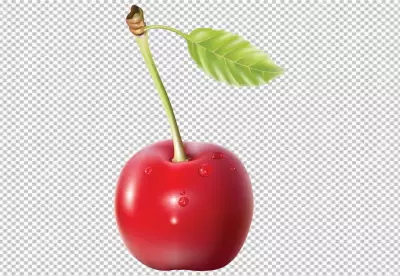 Close-up of cherries over transparent  background PNG