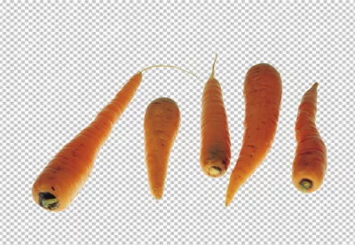 View of healthy and fresh vegetables