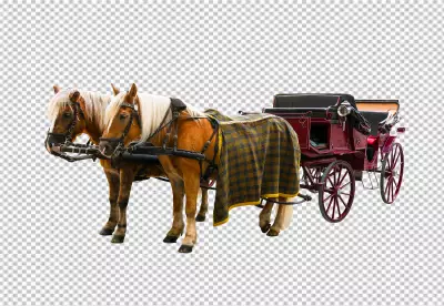 There is a horse pulling a carriage