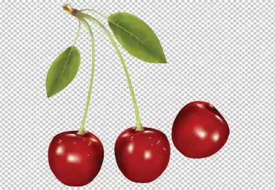 3d cherry isolated on transparent background PNG