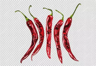 Jalapeno isolated on transparent background