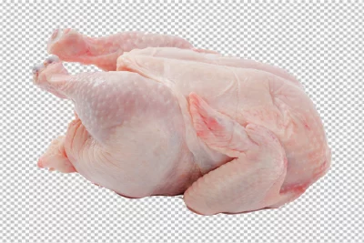 Chicken Leg Chicken meat Broiler