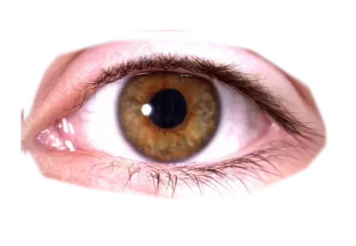 Close up of a caucasian woman blue eye staring into camera