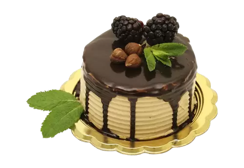 Front view of delicious chocolate cake with copy space png