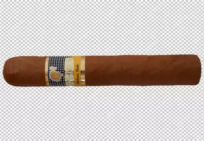 Cigar Resting Against a White Background on White or PNG Transparent Background