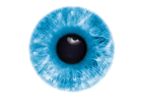 Eyeball with shadow on transparent background