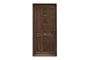 Brown wooden door