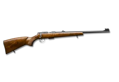 M1 Garand isolated on transparent background
