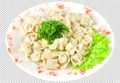 Dumpling plate isolated on transparent background