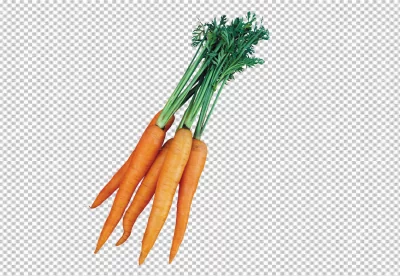 Carrots on a transpaernt background 