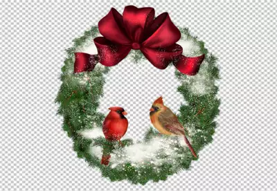 Collection of hand drawn christmas flower & wreath PNG background 