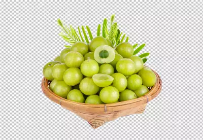 Fresh Gooseberry PNG Download, High-Quality Graphics for Your Designs