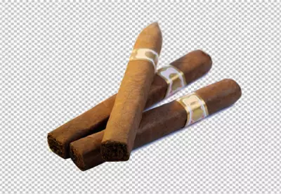 Cigar isolated on transparent background