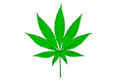Marijuana trees leaves Isolated on transparent background