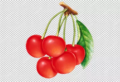 Big cherry on PNG background with green leaf