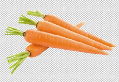 Many carrot and a carrot on a transparent background