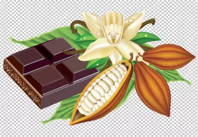 Close up on delicious chocolate bar pieces transparent background 