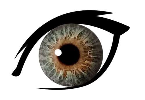 A close up of a human eye PNG