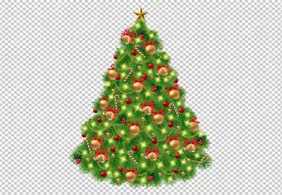 Christmas tree on transparent background