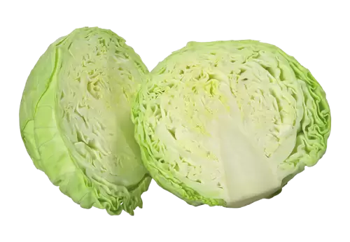 Cabbage  isolated on a transparent background 