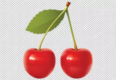 Two realistic vector cherries with Leaf isolated on PNG