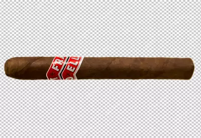 Cigar isolated on transparent BG