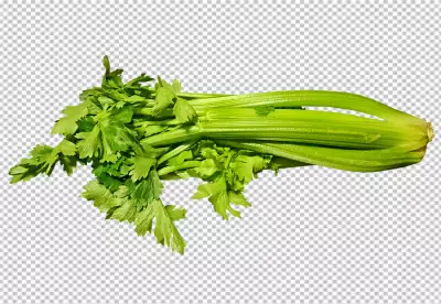 A glass vase with a bunch of celery in it