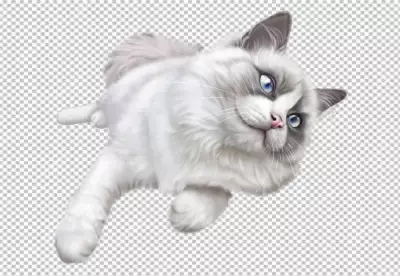 Transparent background orange tabby cat clipart with brown and orange fur unique eyes