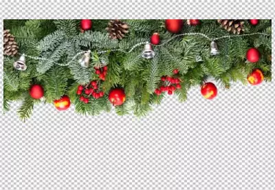 Cute christmas flowers transparent background 