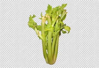 There is a bunch of green vegetables on a white surface transparent background 