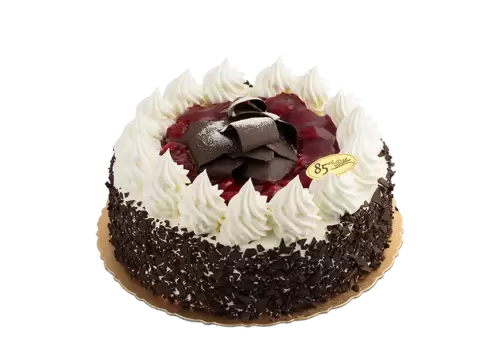 Chocolate cake with berries no background png