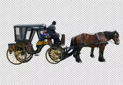 Equestrian Elegance A Sojourn with Horse and Carriage Isolated on transparent  Background
